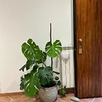 Le Tre Orchidee Apartments