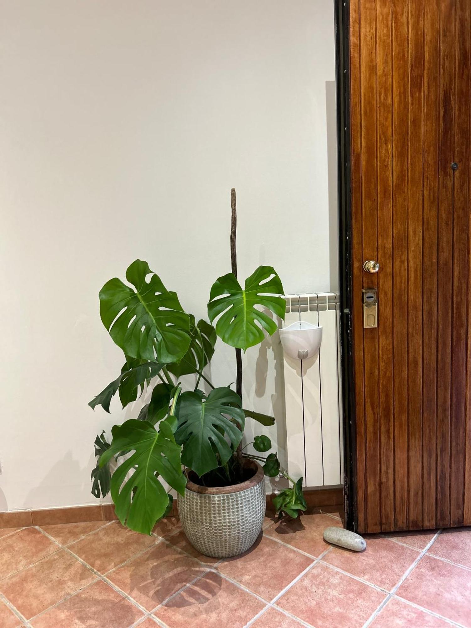 Appartamento Le Tre Orchidee Firenze